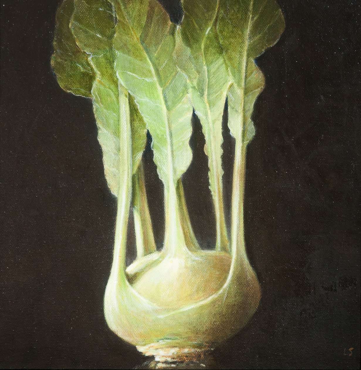 Kohl Rabi, 2012 (akryl na plátně) od Lincoln Seligman