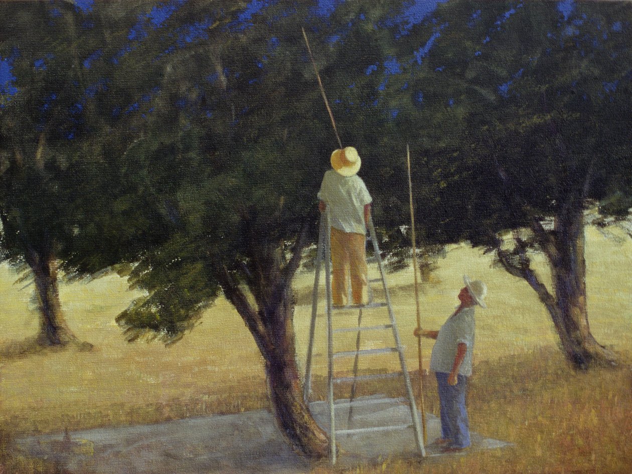 Sběrači oliv, 1985 (akryl na plátně) od Lincoln Seligman