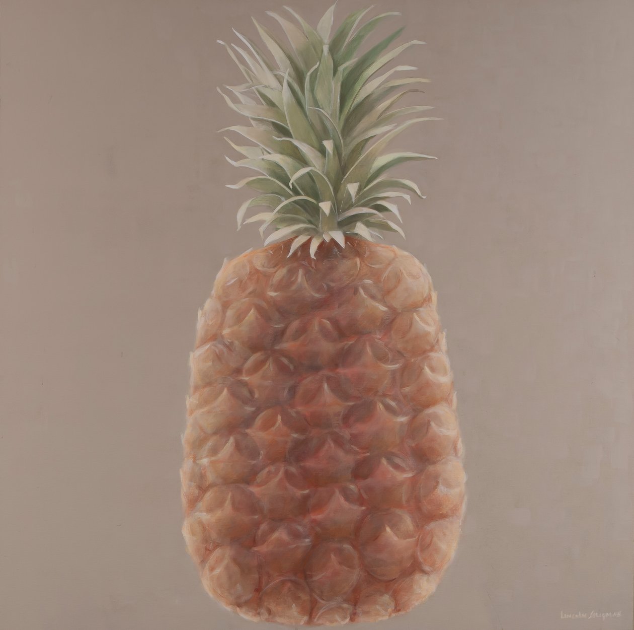 Ananas, 2012 (akryl na plátně) od Lincoln Seligman