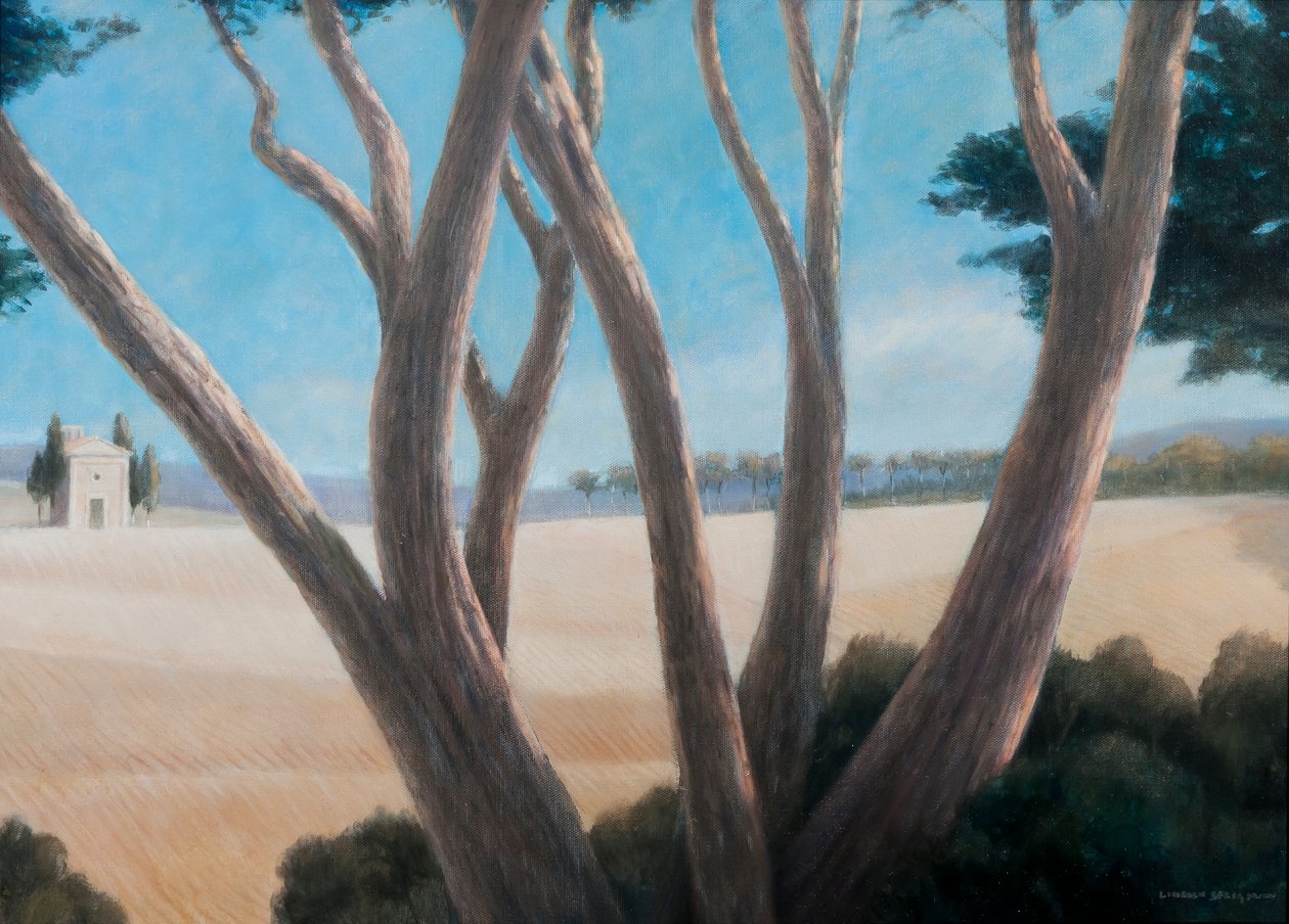 Pines near Pienza, 2012 (akryl na plátně) od Lincoln Seligman