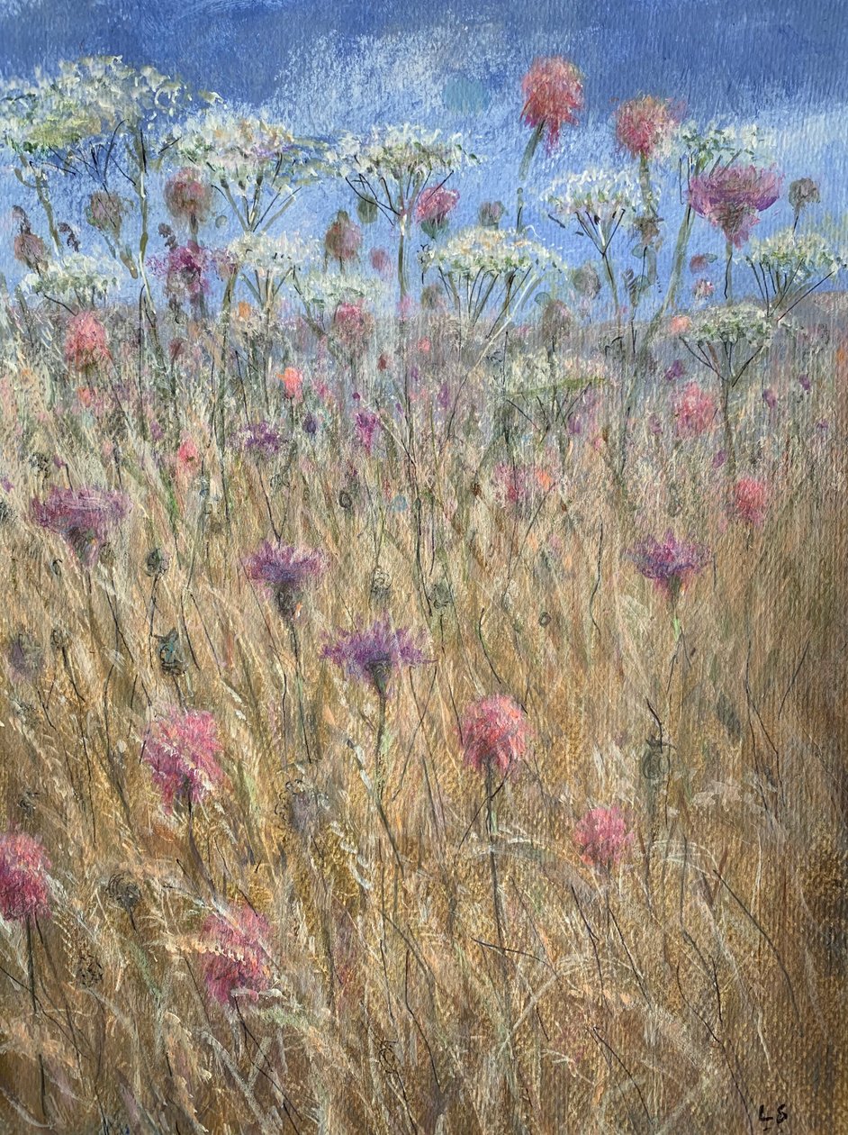 Scabious od Lincoln Seligman