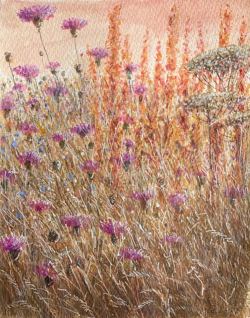 Scabious & Docks od Lincoln Seligman