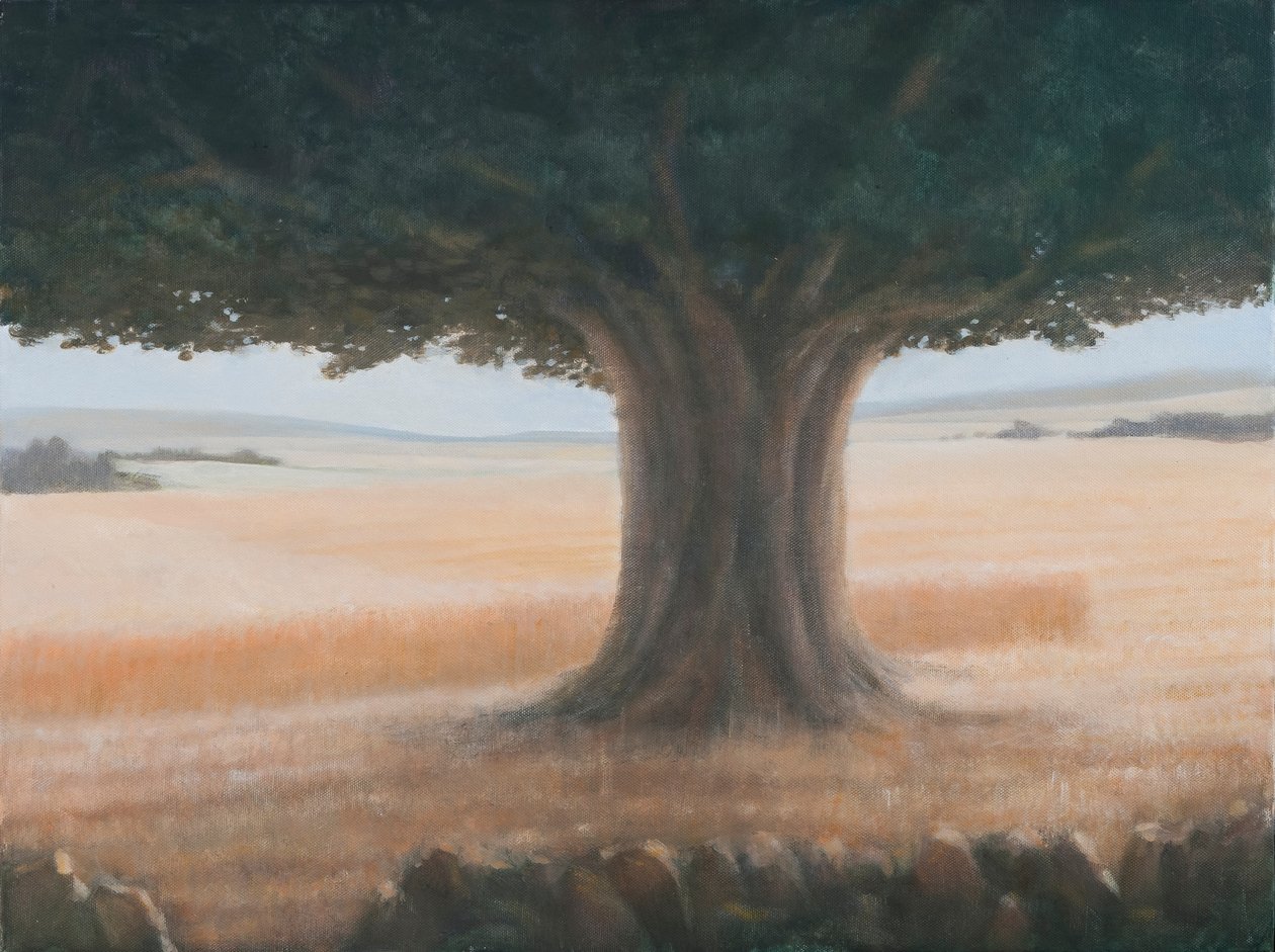 Strom, Holwell, 2012 (akryl na plátně) od Lincoln Seligman