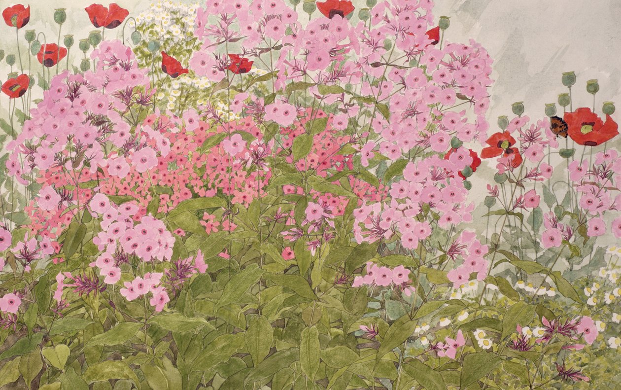 Růžový Phlox a mák s motýlem (wc na papíře) od Linda Benton