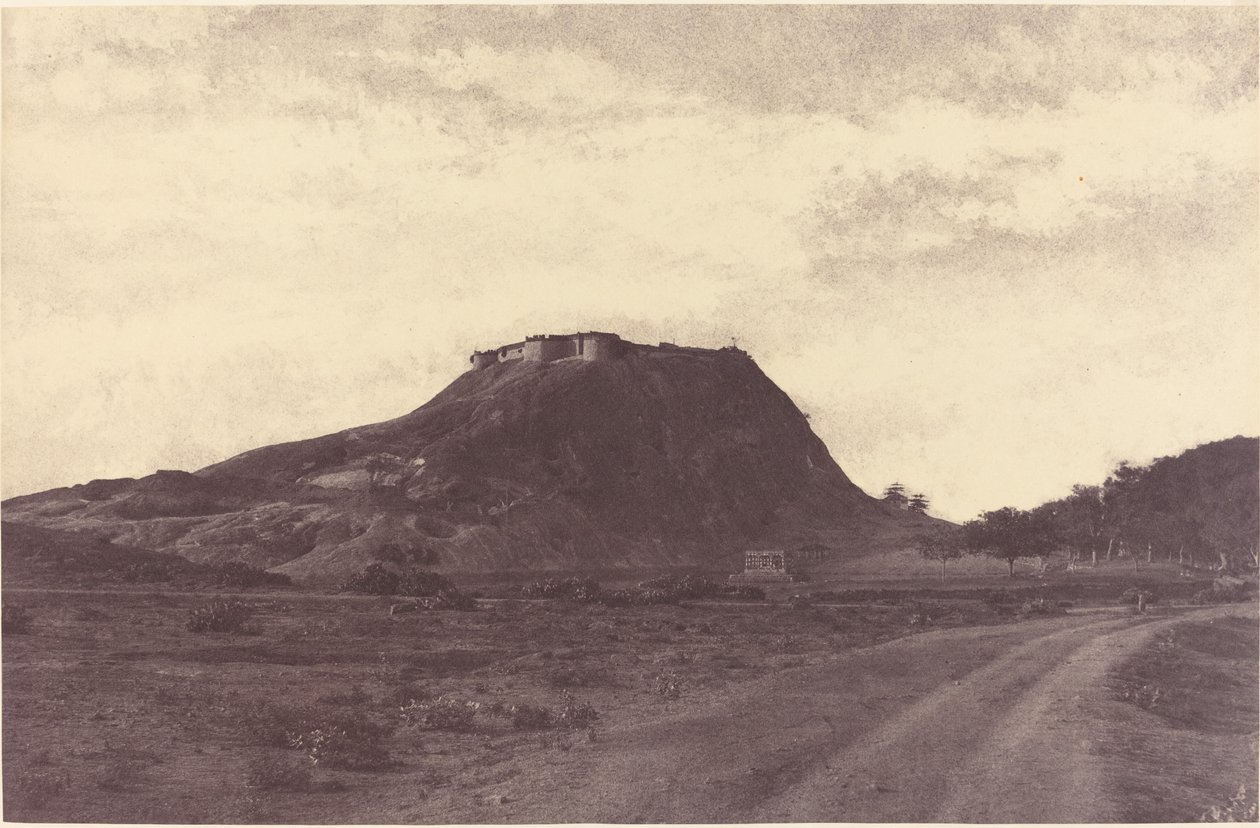 Namculdry: Dry and Tank od Linnaeus Tripe