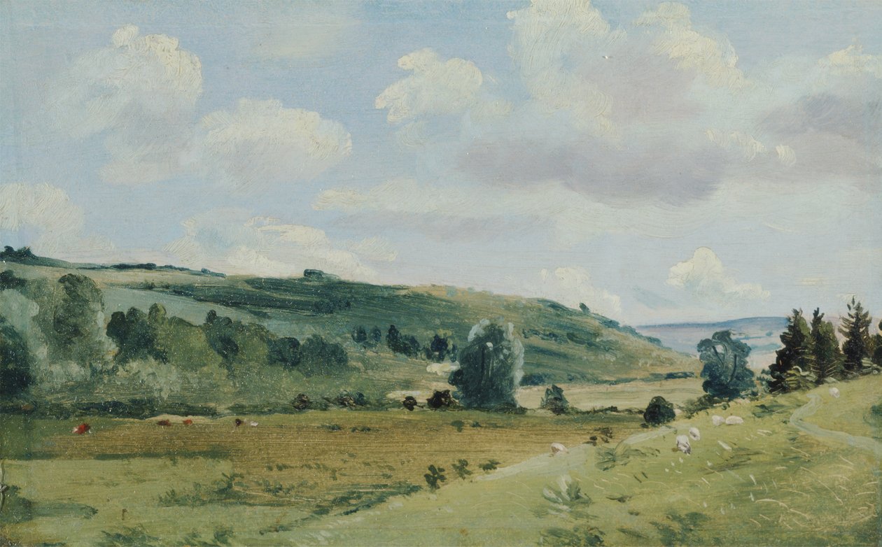 Krajina, cca 1849-55 (olej na panelu) od Lionel Constable