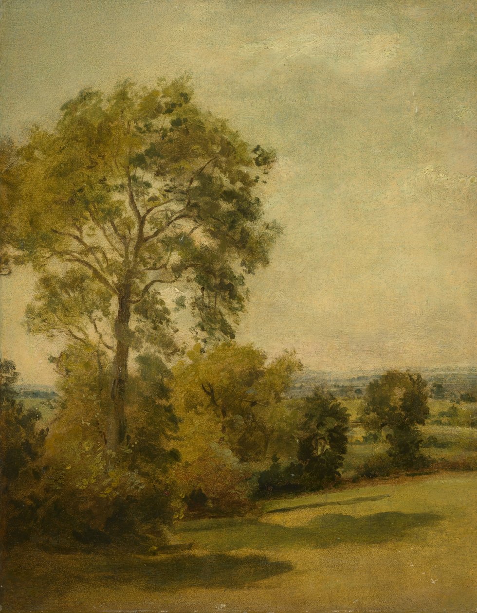 Strom v krajině, kolem roku 1850 od Lionel Constable