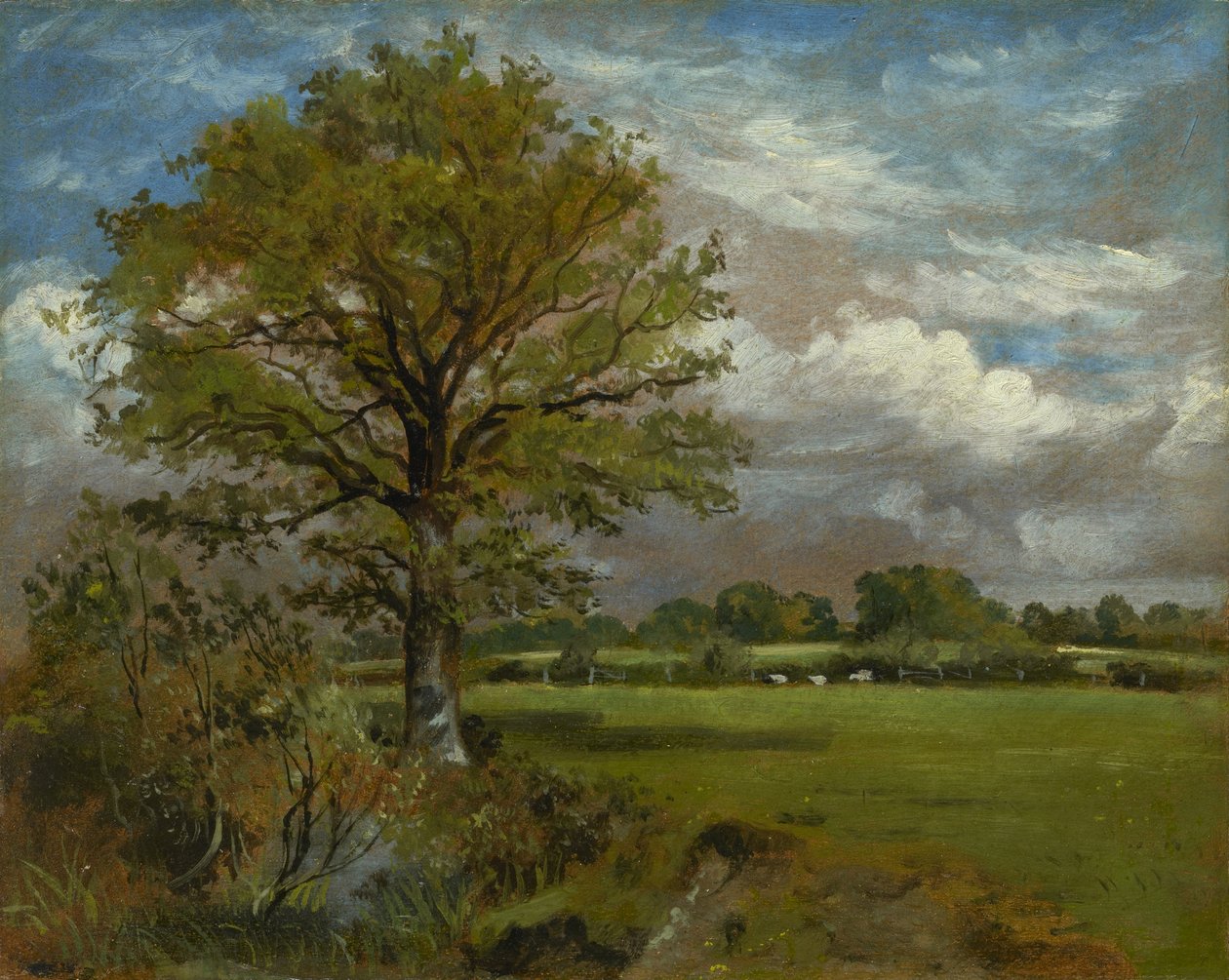 Strom na louce, kolem roku 1850 od Lionel Constable