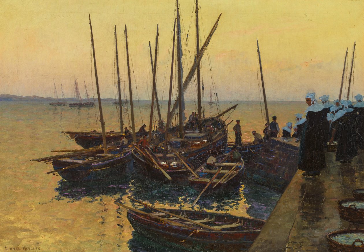Rybářské lodě podél mola od Lionel Walden