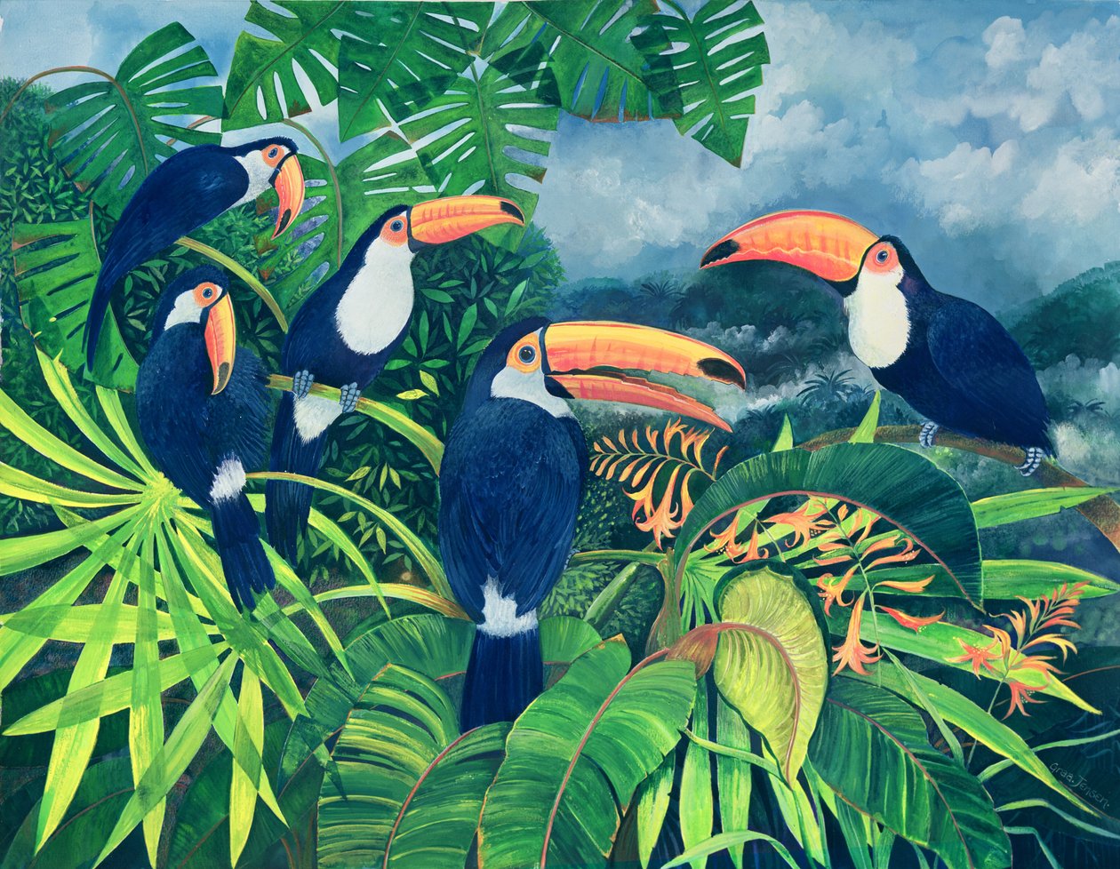 Toucan Talk (wc a kvaš na papíře) od Lisa Graa Jensen
