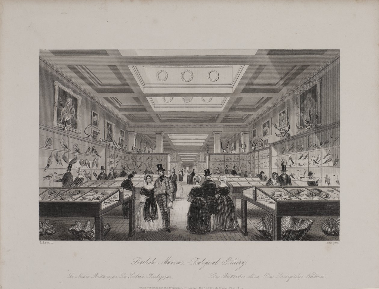 Pohled na Zoologickou galerii, Britské muzeum ukazující návštěvníkům, kteří si prohlížejí expozice, kolem roku 1850 (rytina) od Llewellyn (after) Jewitt