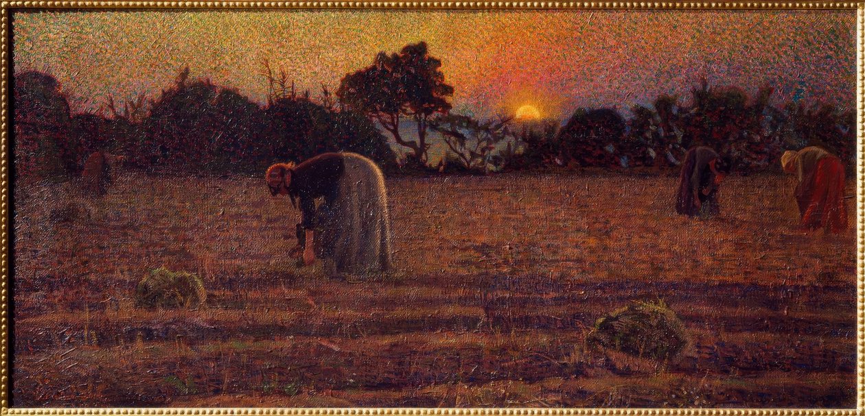 Gramignaie od Llewelyn Lloyd