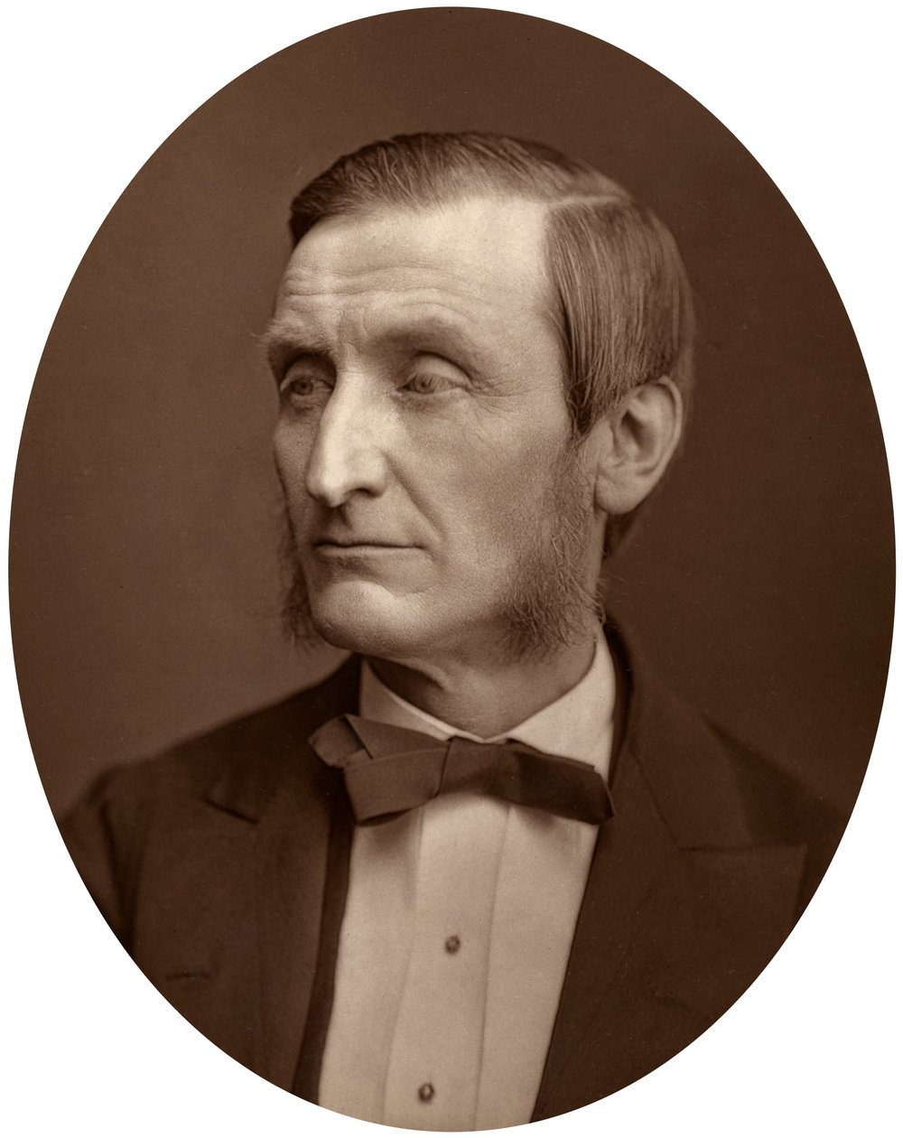 John Hall Gladstone, prezident Chemical Society, 1880. od Lock and Whitfield
