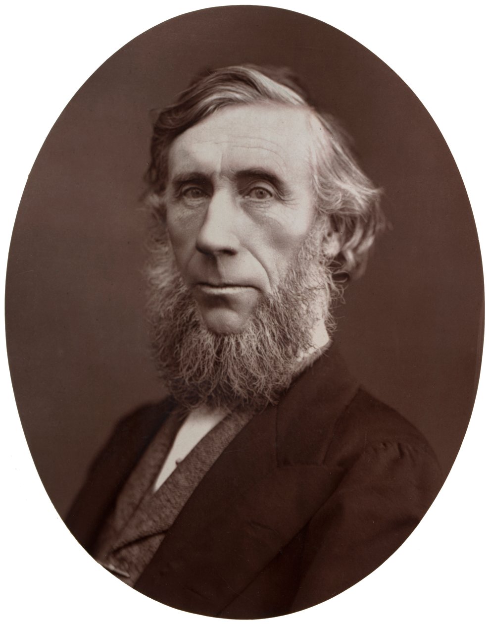 John Tyndall, DCL, LLD, FRS, profesor přírodní filozofie na Royal Institution, 1877. od Lock and Whitfield