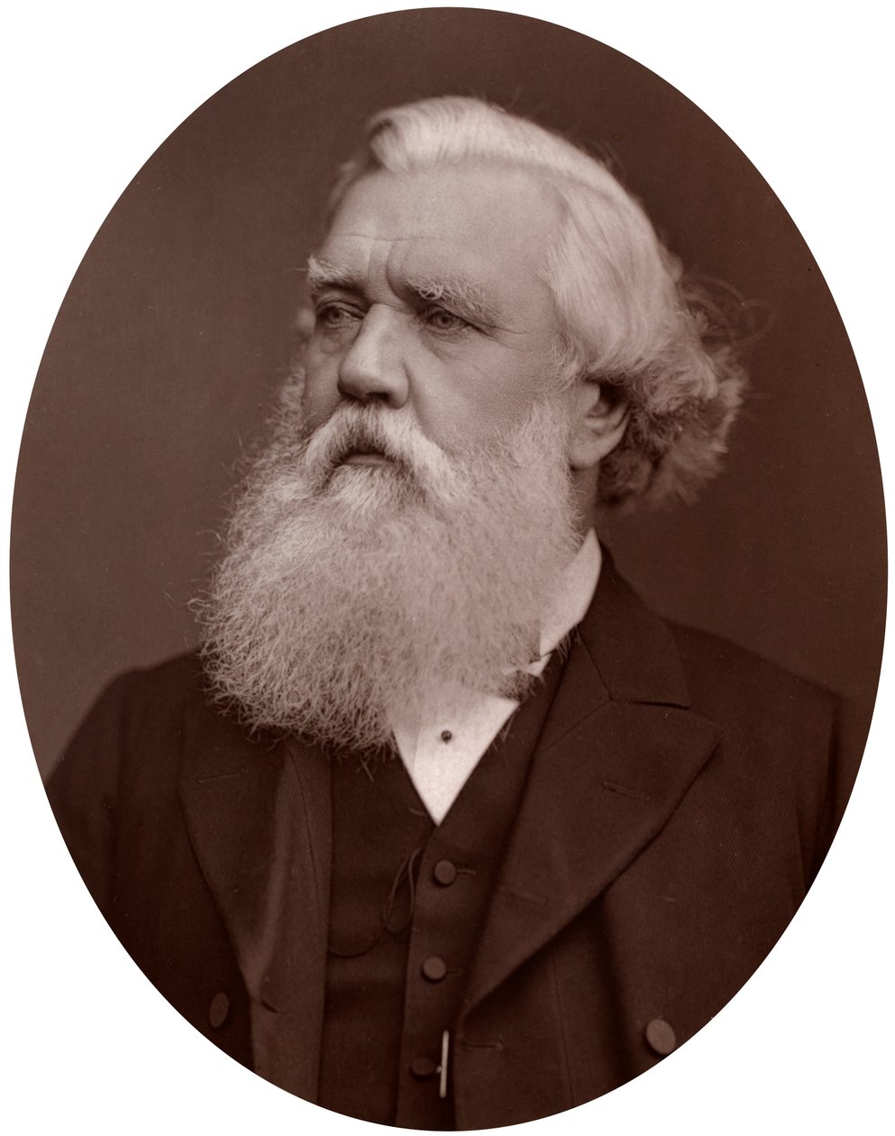 Right Hon Austen Henry Layard DCL, britský velvyslanec v Konstantinopoli, 1877. od Lock and Whitfield