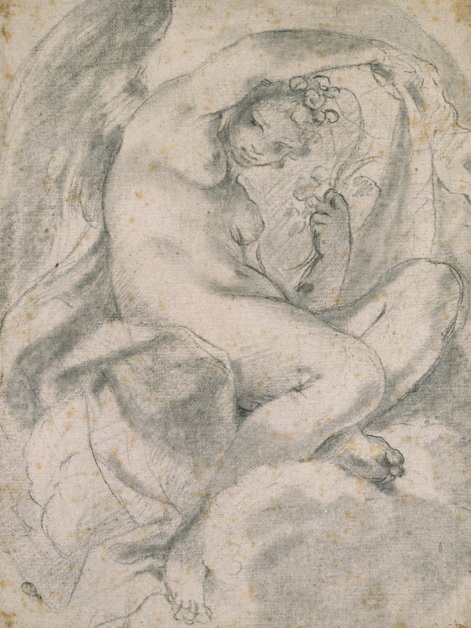Nymfa (Flora) uprostřed mraků (černá křída s pahýlem na špinavě bílém papíře) od Lodovico Carracci