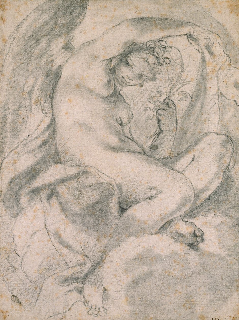 Nymfa možná Flora uprostřed mraků, 1575-1619 od Lodovico Carracci