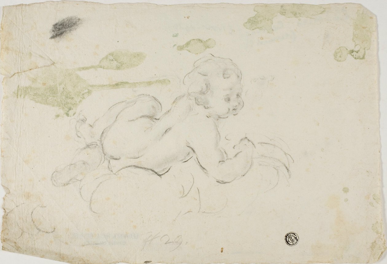 Putto od Lodovico Carracci