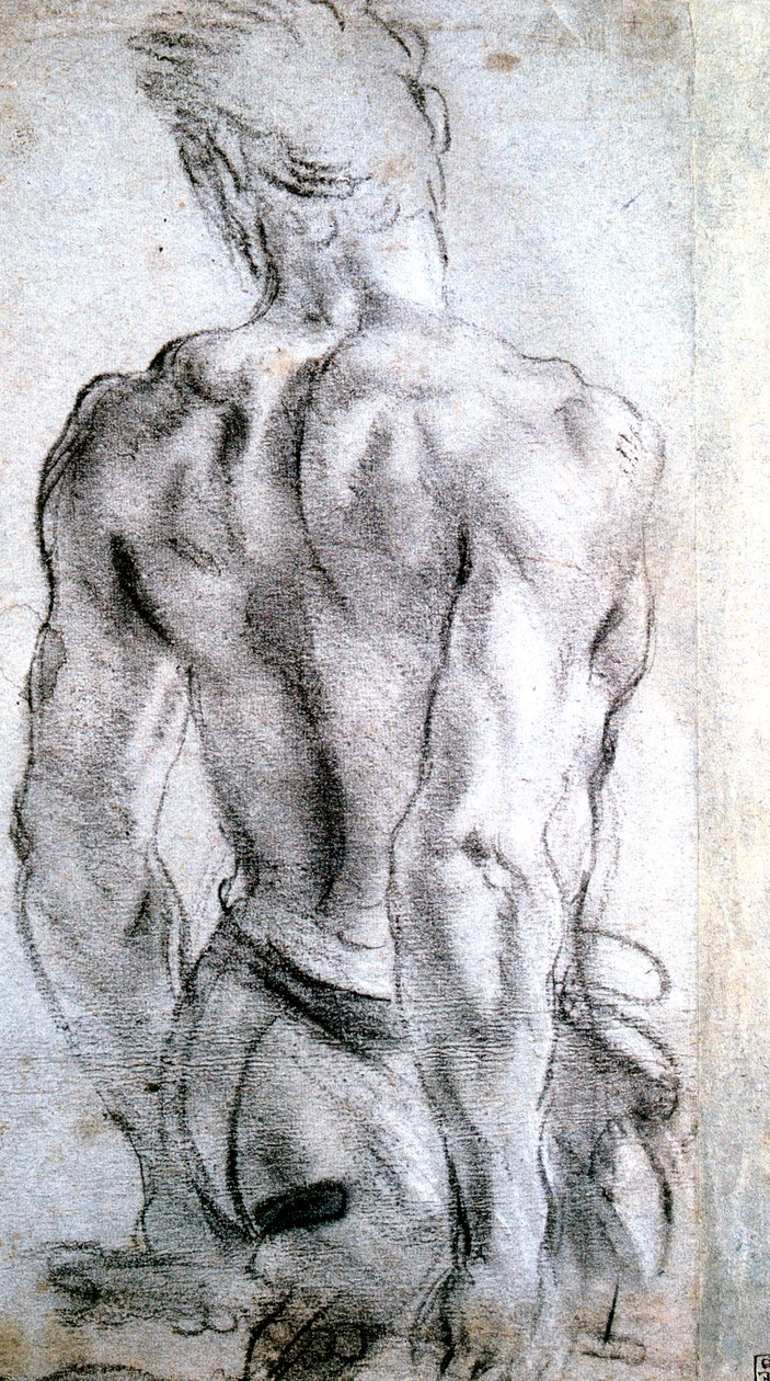 Studie obrázku, c1560-1609 od Lodovico Carracci