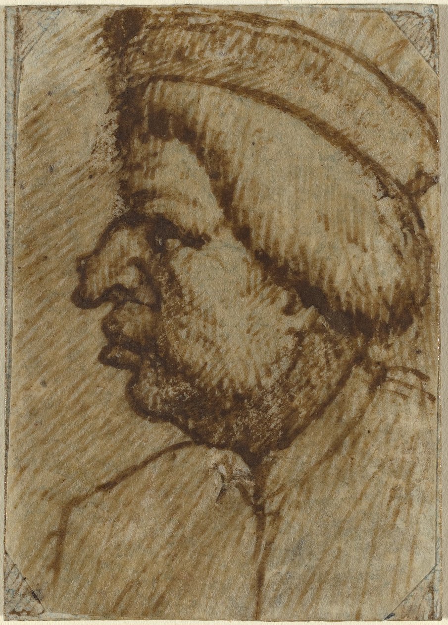 Profil muže od Lombard 16th Century