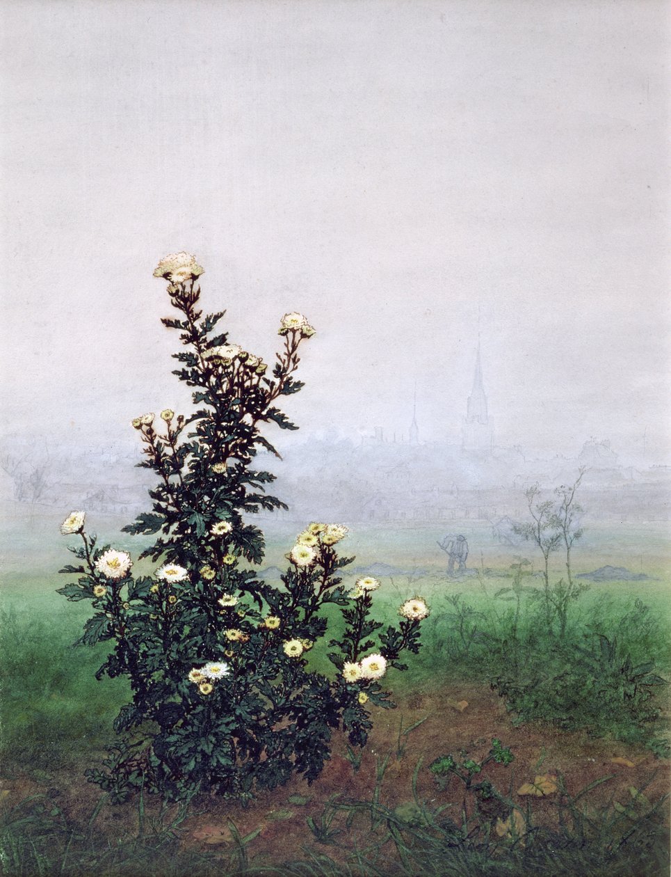 Kvetoucí chryzantéma s dělníkem, 1863 (wc, kvaš, pero a inkoust a tužka na papíře) od Léon Bonvin