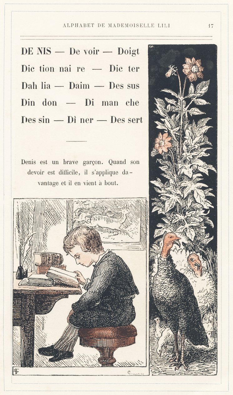 Denis, Povinnost, Prst, Slovník, Dicter, Dahlia, Suede, Top, Turkey, Sunday, Drawing, Dinner, Dessert, strana 17 - Abeceda od Mademoiselle Lili, od L. Froelicha a od tatínka (samotného Hetzela). Bibliotheque  Magasin d