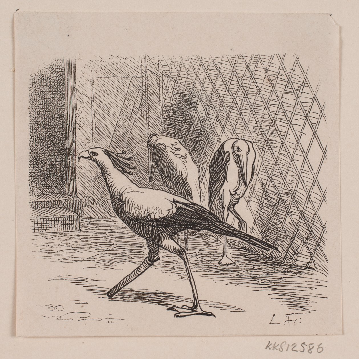 tajemník Jardin des Plantes od Lorenz Frølich
