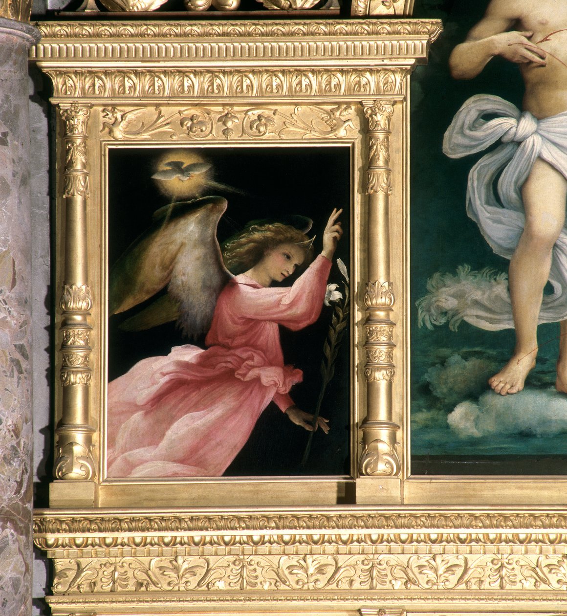 Annunciation Angel, detail z Polyptychu San Giovanni Battista, c.1525 od Lorenzo Lotto