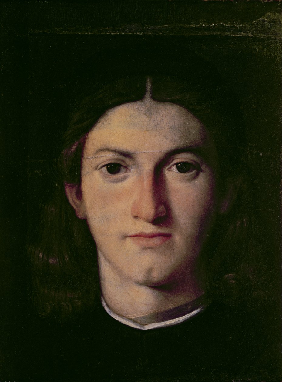 Portrét mladého muže, 1505 (panel) od Lorenzo Lotto