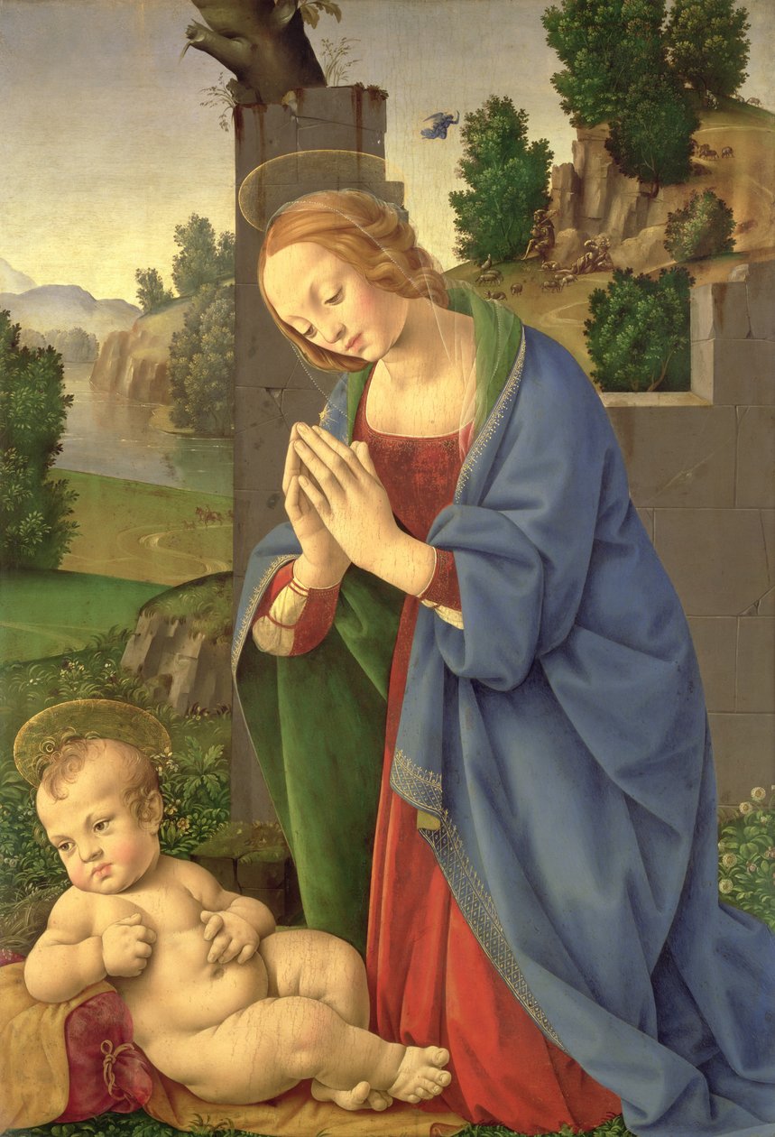 Panna zbožňující dítě, 1490-1500 (olej na dřevě) od Lorenzo di Credi