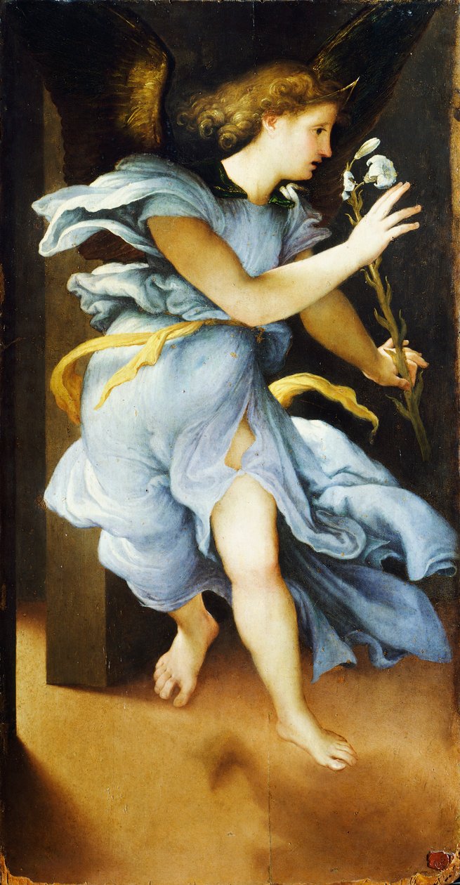 Announcing Angel, cca 1525, Lorenzo Lotto (1480 cca 1556), olej na panelu, 82x42 cm od Lorenzo Lotto