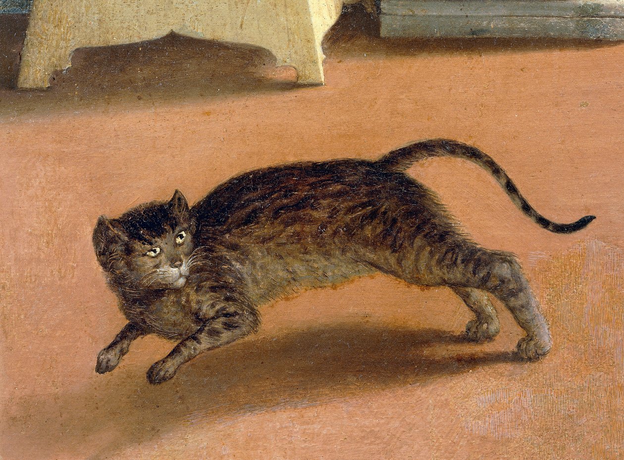 Vyděšená kočka, detail z Recanati Annunciation, cca 1534, Lorenzo Lotto (1480-1556), olej na plátně od Lorenzo Lotto