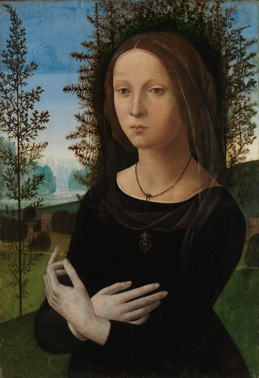Portrét mladé ženy, asi 1475-80 (olej na dřevě) od Lorenzo di Credi
