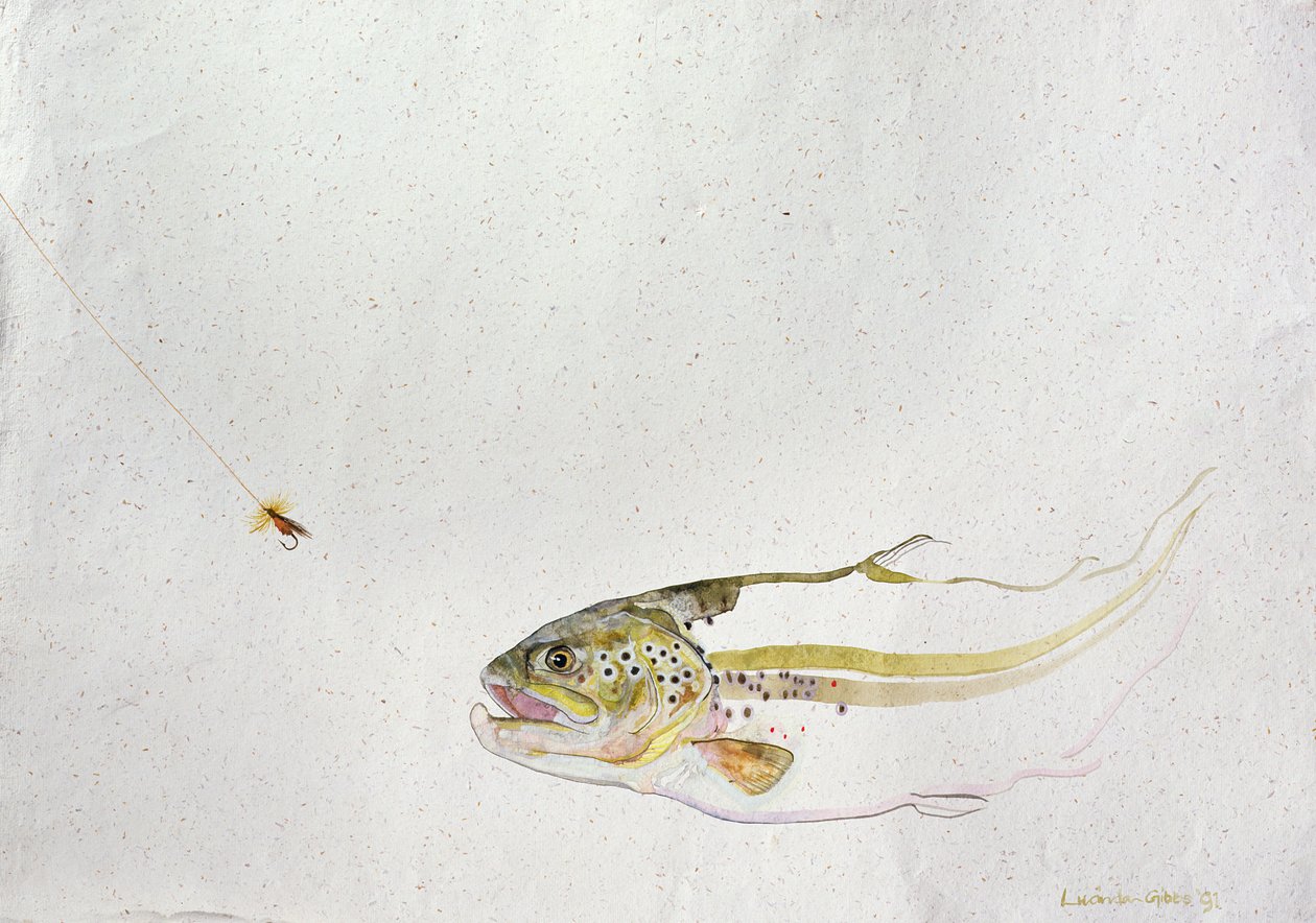 Pstruh honí rybářovu mušku, 1991, (akvarel na ručním papíře) od Lou Gibbs