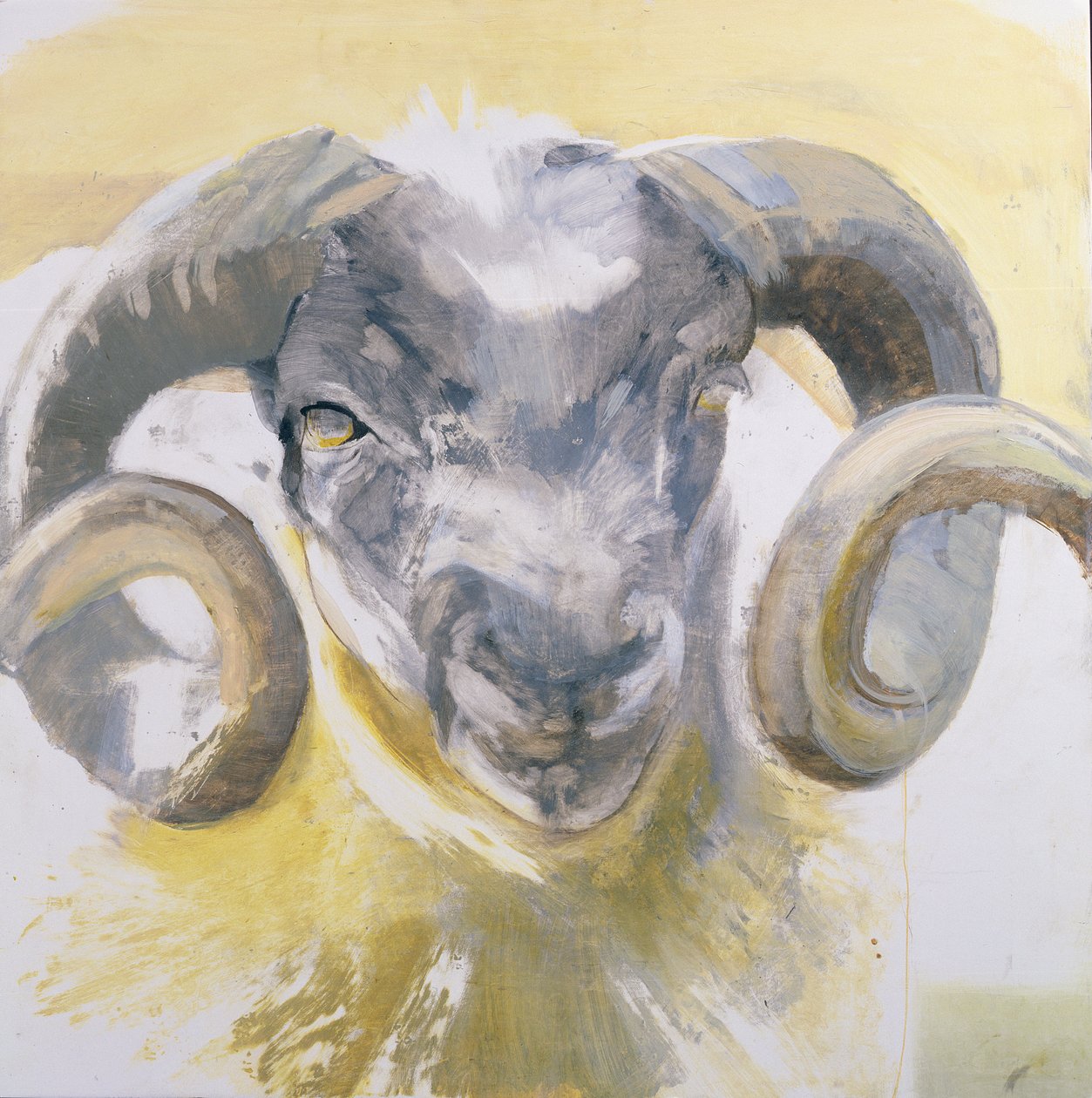 Long Horn Sheep (kombinovaná média na gesso panelu) od Lou Gibbs
