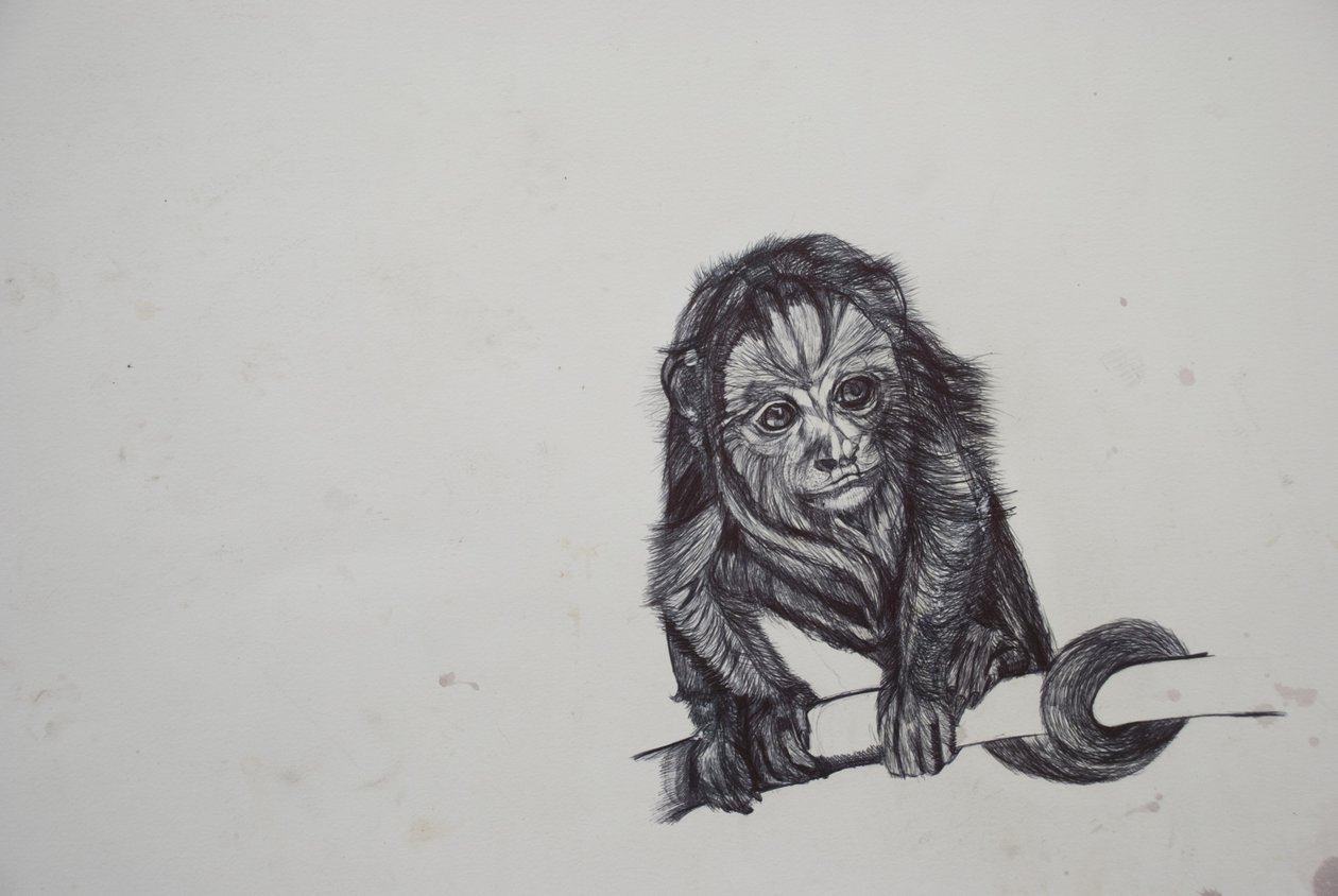 Monkey Business,2016,(bic biro na papíře) od Lou Gibbs