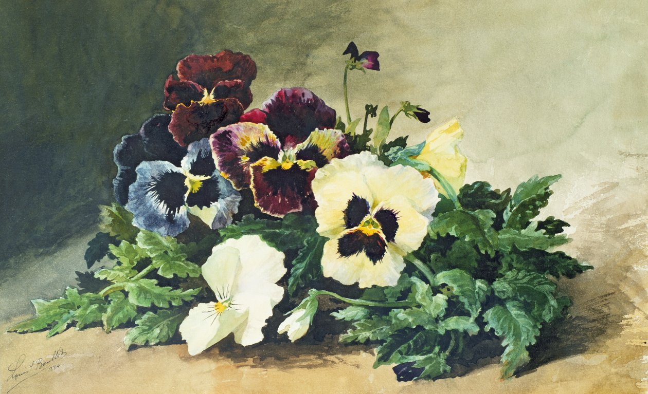 Zimní macešky, 1884 od Louis Charles Bombled