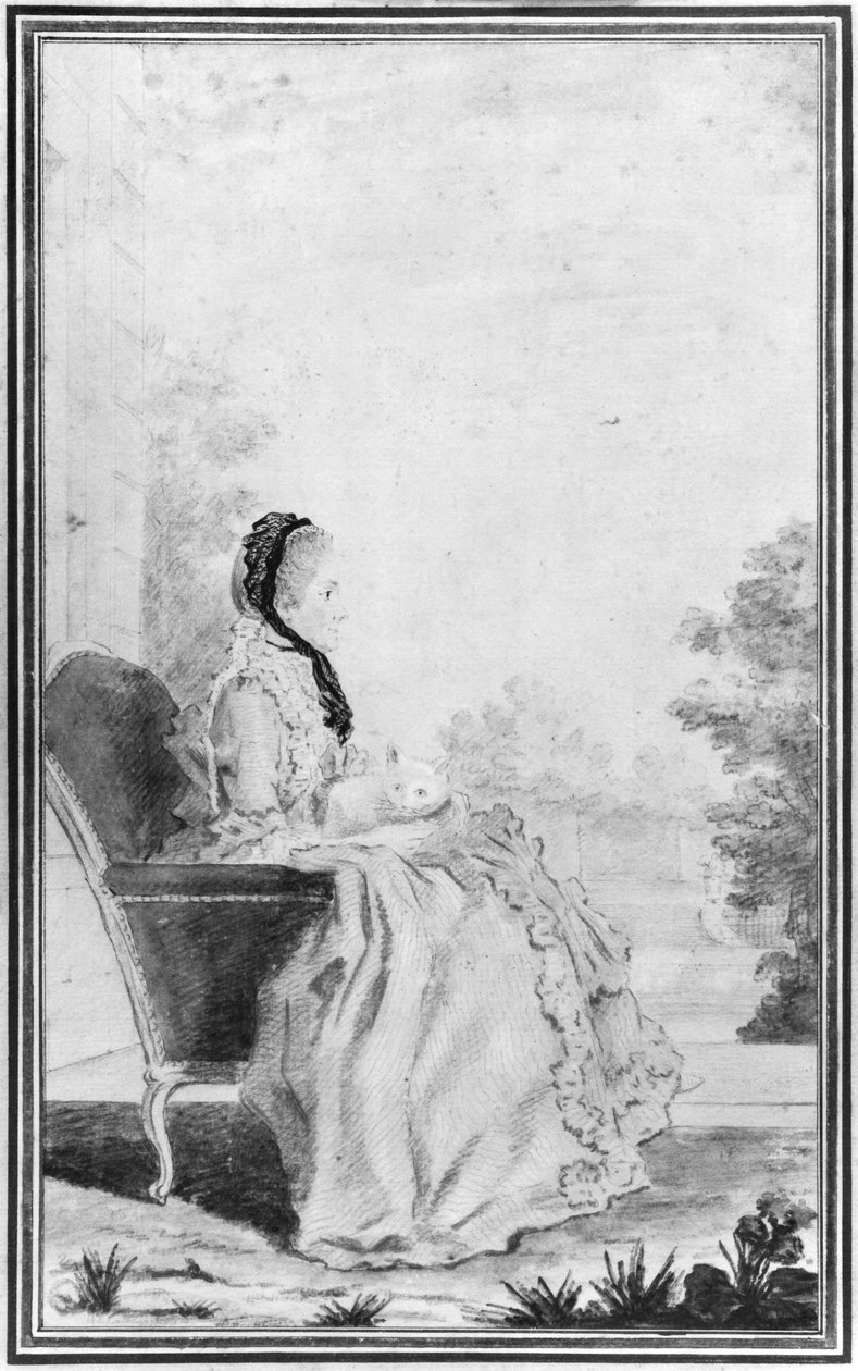 Portrét paní du Deffand, 1760 (tužka a čb na papíře) od Louis Carrogis dit Carmontelle