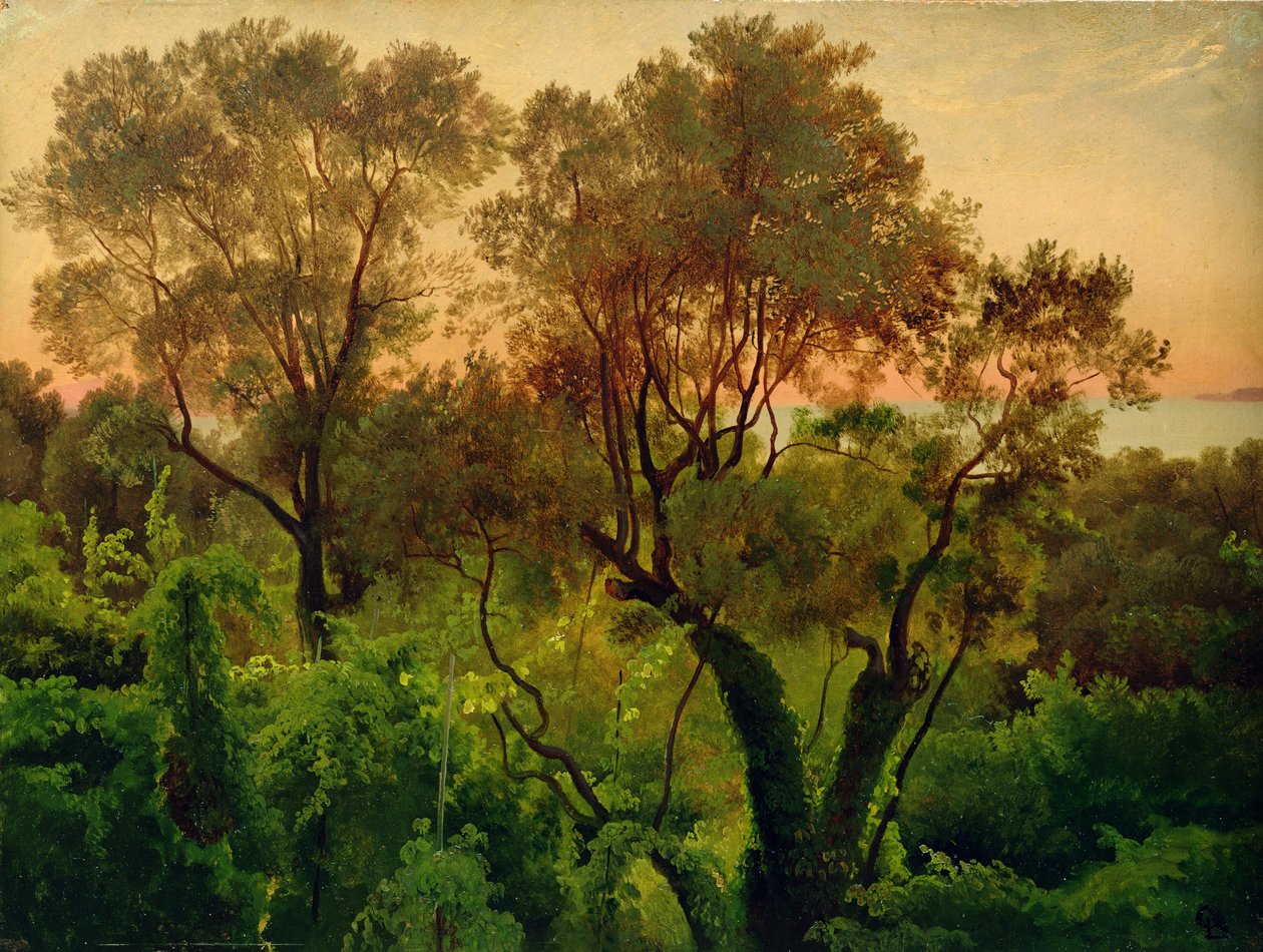 Svah s olivovníky (olej na papíře na desce) od Louis Gurlitt