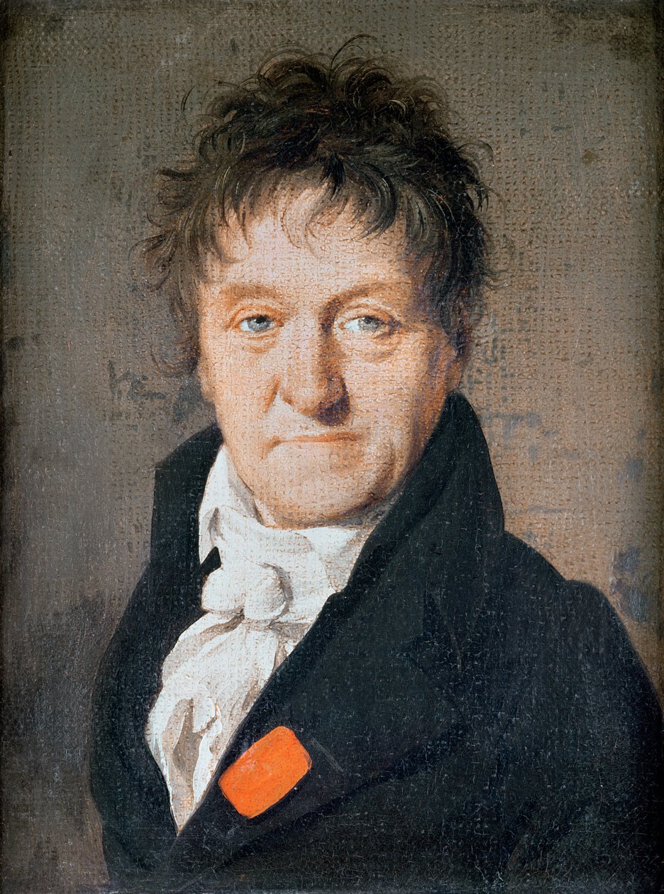 Portrét Lazara Nicolase Marguerite Carnota (1753-1823) 1813 od Louis Leopold Boilly