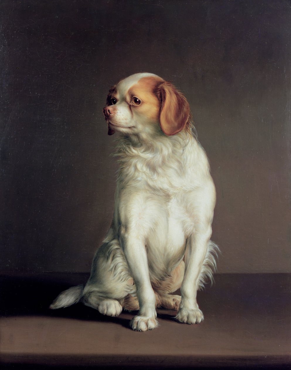 Portrét King Charles Španěl od Louis Leopold Boilly