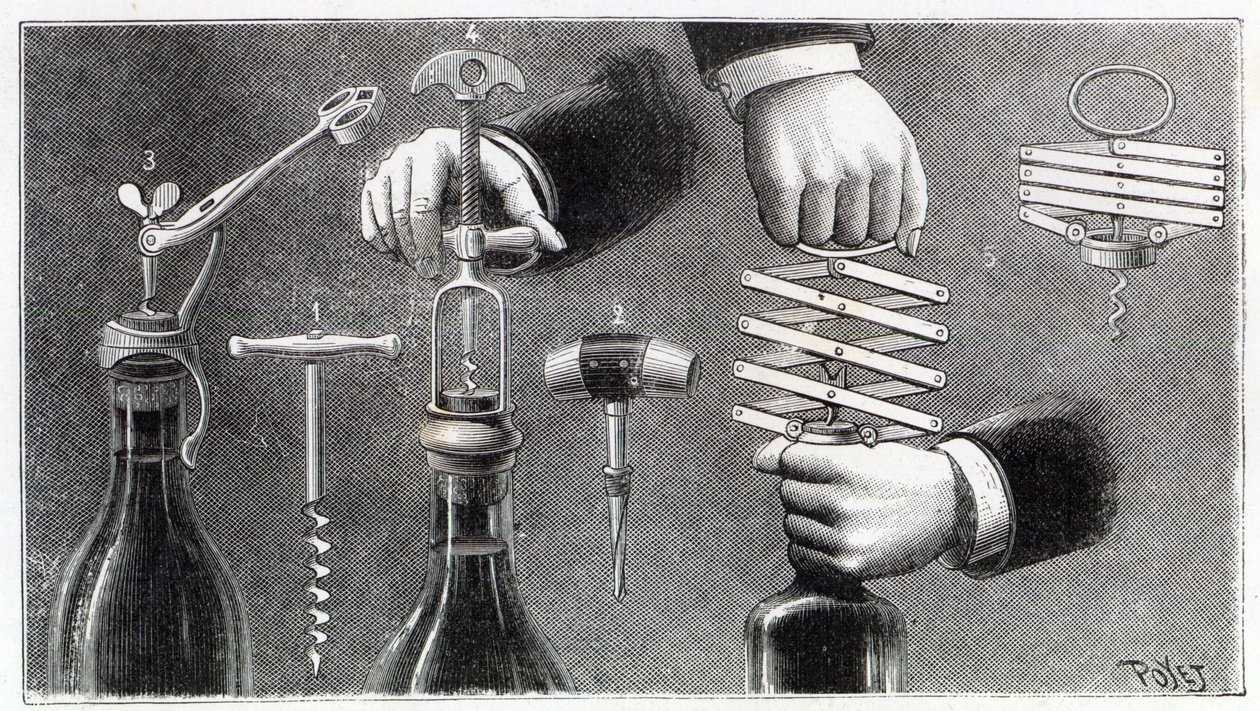 Různé typy vývrtek, 1893 od Louis Poyet