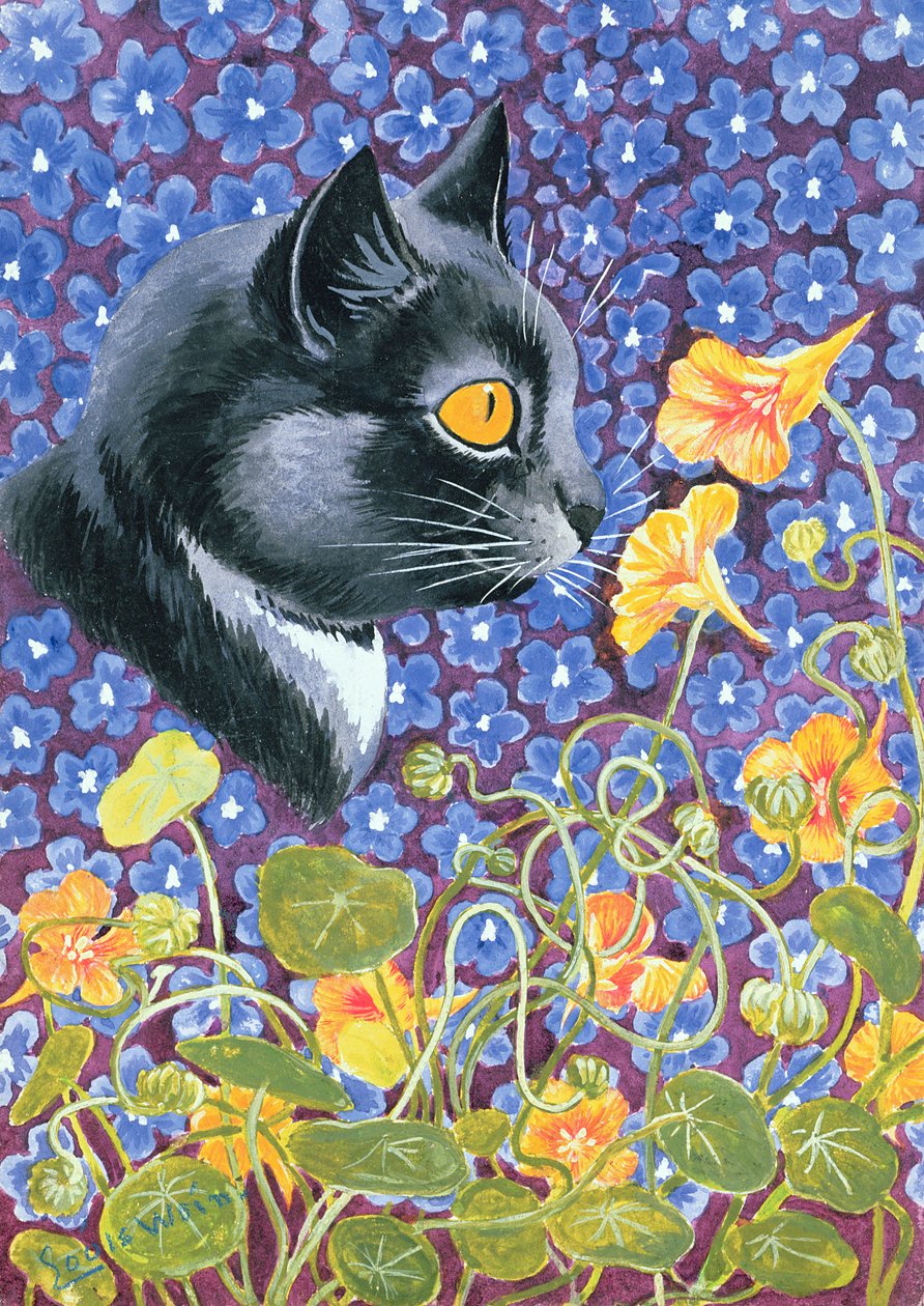 Kočka v moři květin od Louis Wain
