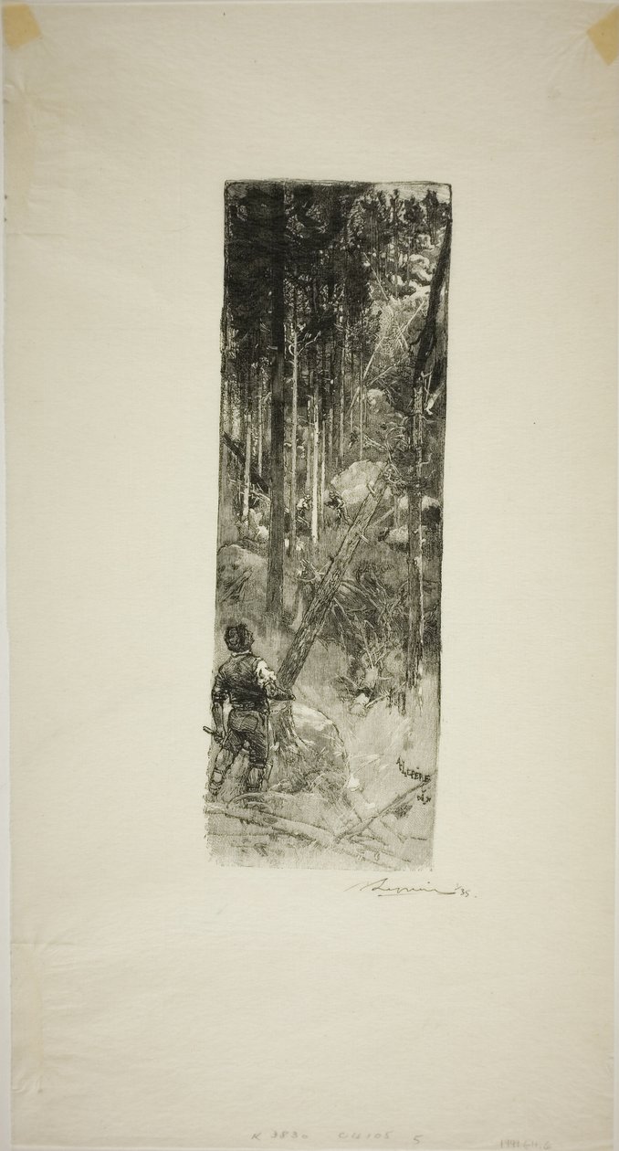 Falling Pines od Louis Auguste Lepère