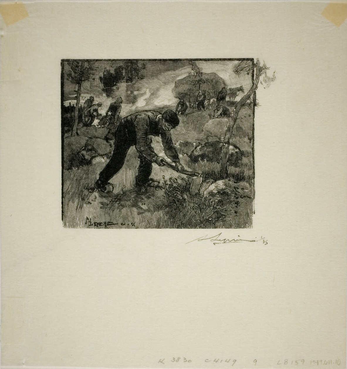 Extraktory kořenů od Louis Auguste Lepère