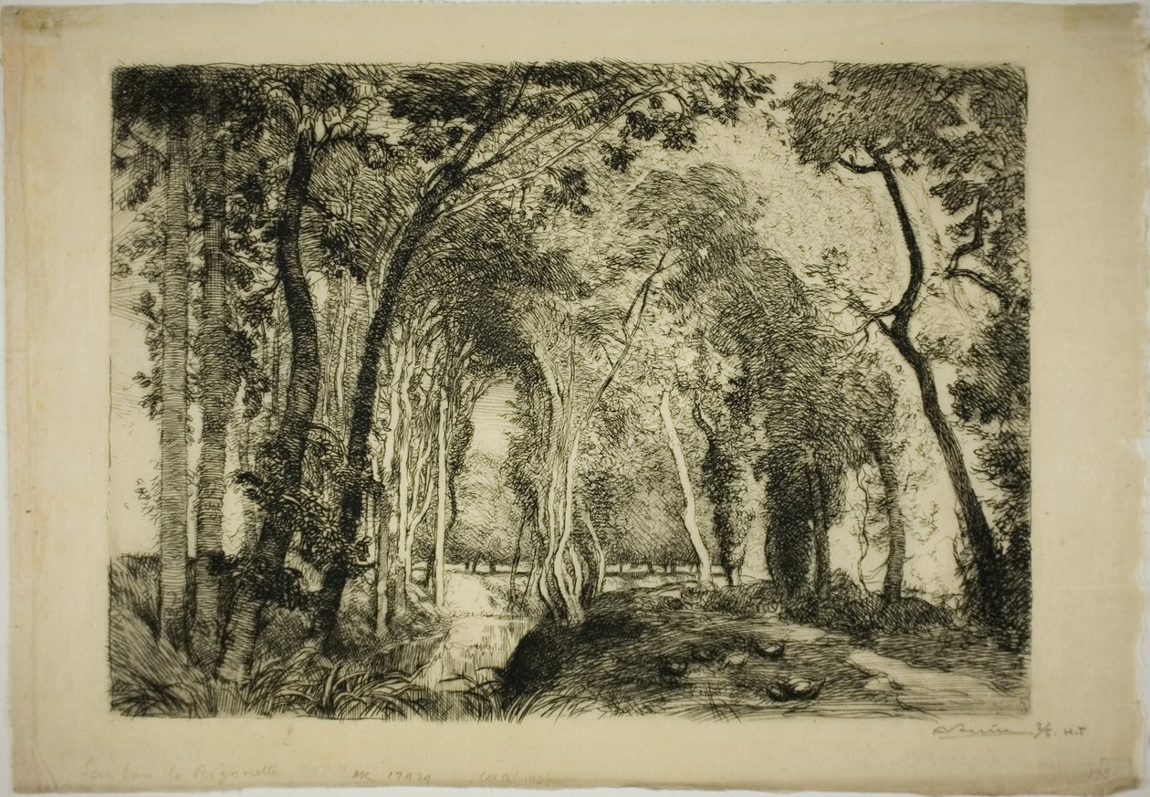 Sous Bois, v Rigonette od Louis Auguste Lepère