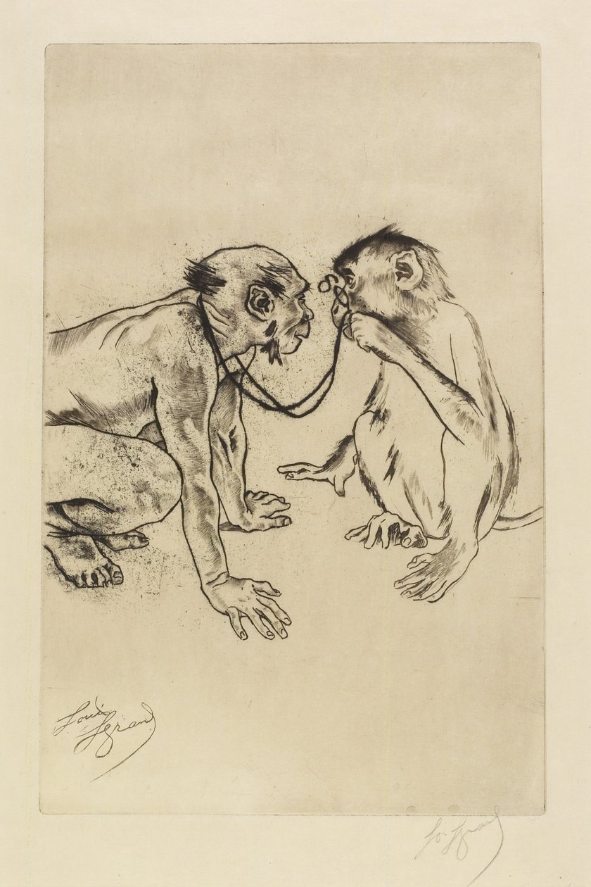 Srovnávací anatomie od Louis Auguste Mathieu Legrand