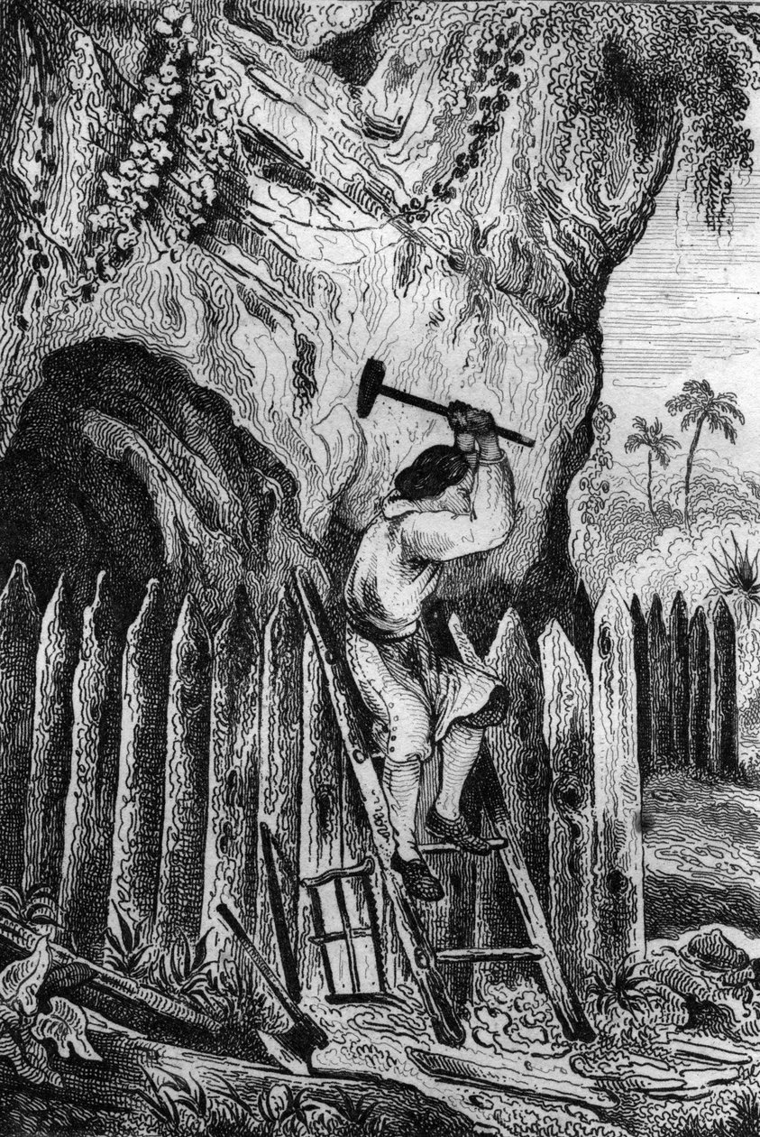 Zasadil jsem deset řad palisád. rytina podle kresby M. de Sainsona pro Knihu Daniela Defoe (De foe) „Robinson Crusoe““ francouzské vydání z roku 1837. od Louis Auguste de Sainson