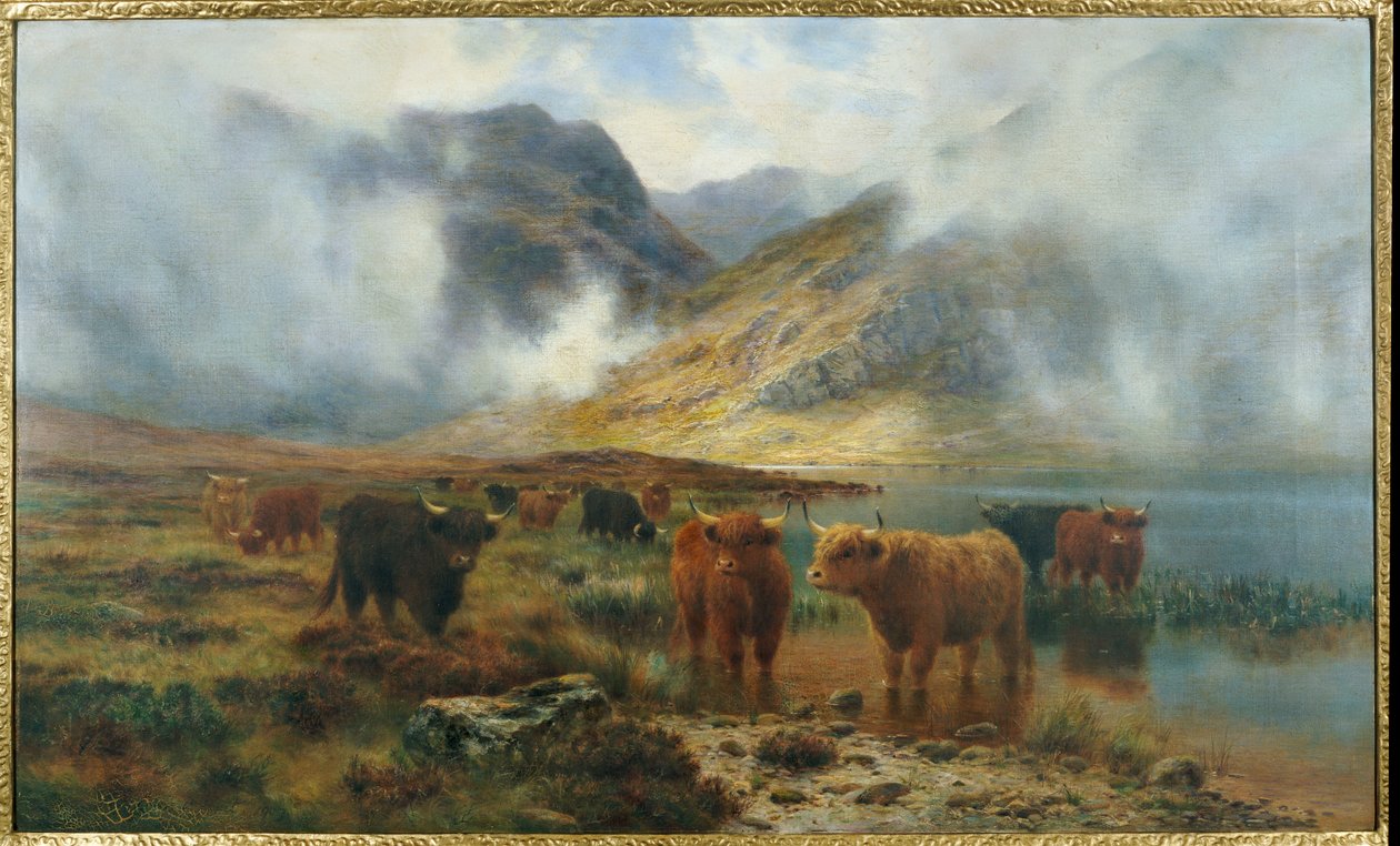 Od Loch Treachlan, Glencoe, Ranní mlhy, 1907 od Louis Bosworth Hurt