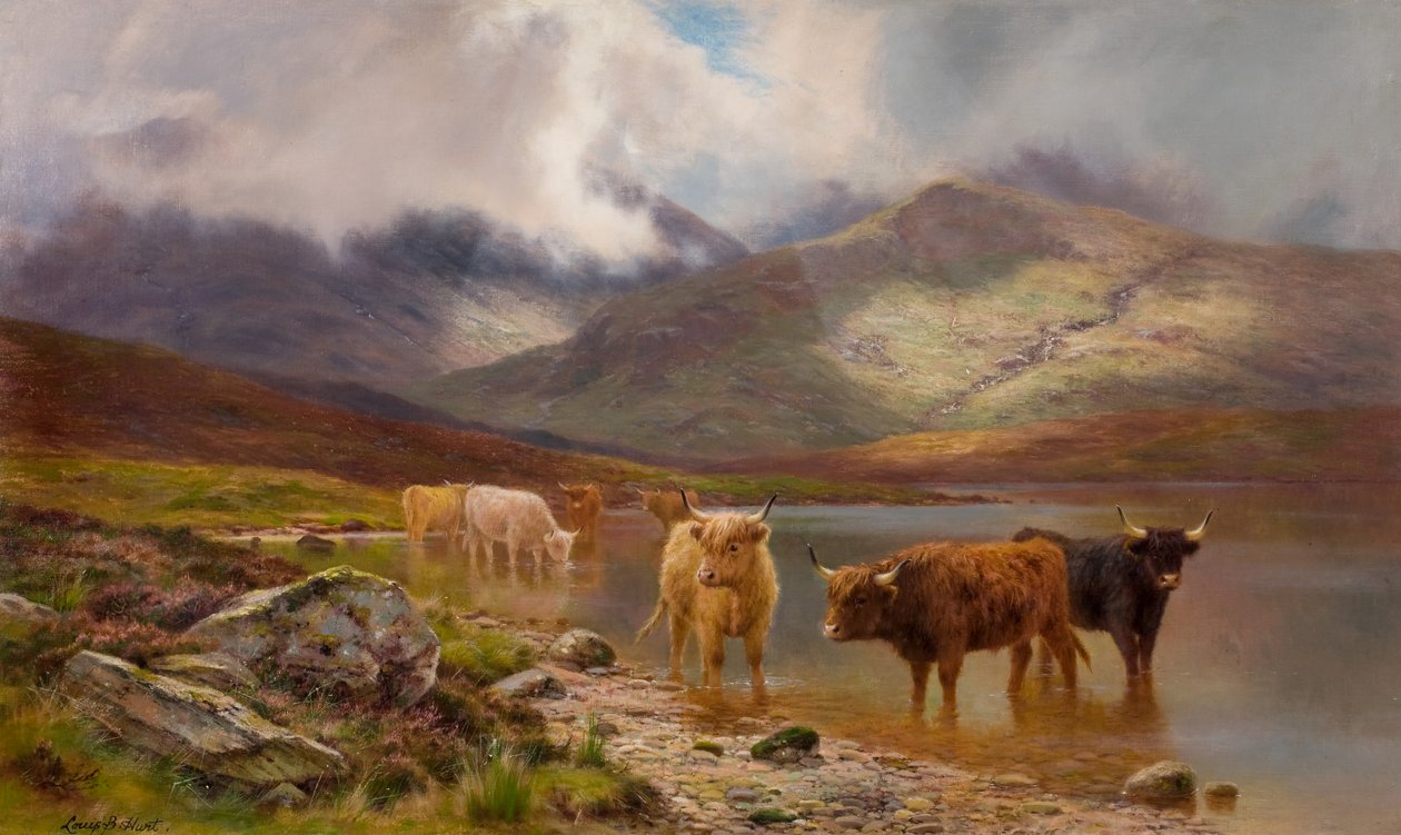 Highland Cattle (olej na plátně) od Louis Bosworth Hurt